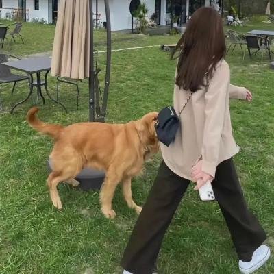 追杀黑帮老大